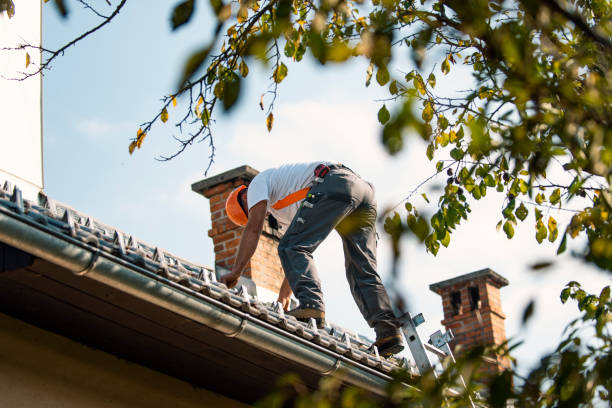 Roof Installation Near Me in Pearl Beach, MI