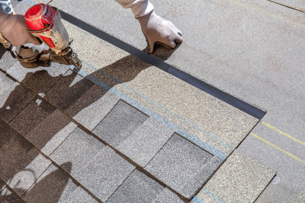 Best Roof Repair Services  in Pearl Beach, MI